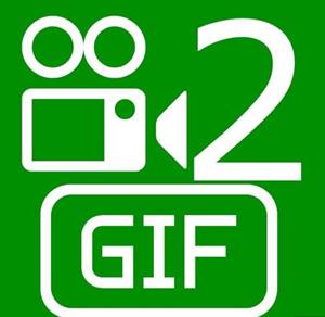 تحميل برنامج WonderFox Video to GIF Converter